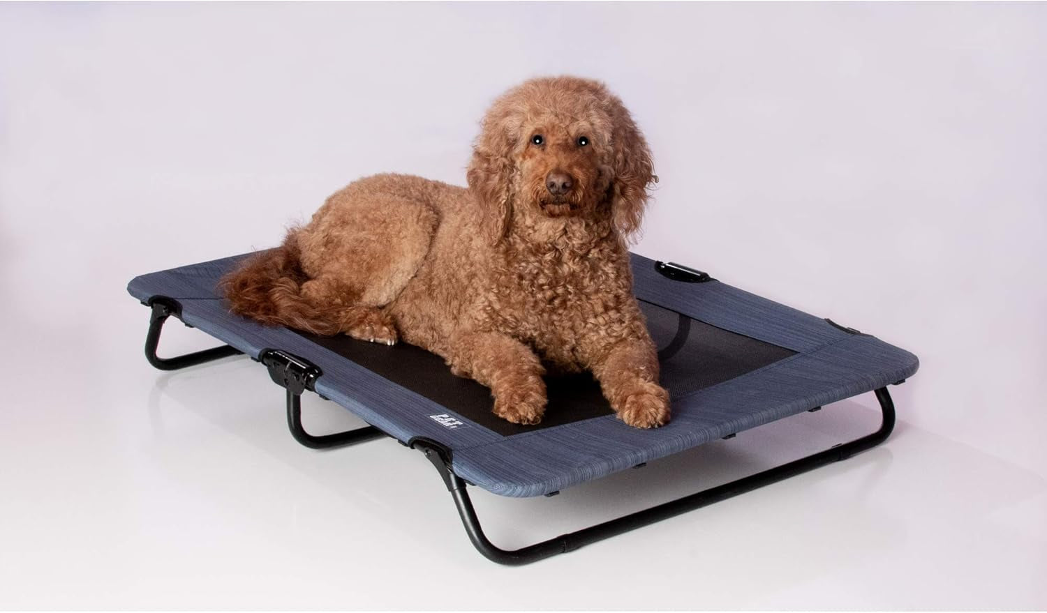 Lifestyle Pet Cot Elevated Bed | No Assembly Required | Premium Tear Resistant Cooling Mesh | Indoor & Outdoor | Lightweight & Portable, 40", Lake Blue (PG6240LBA)