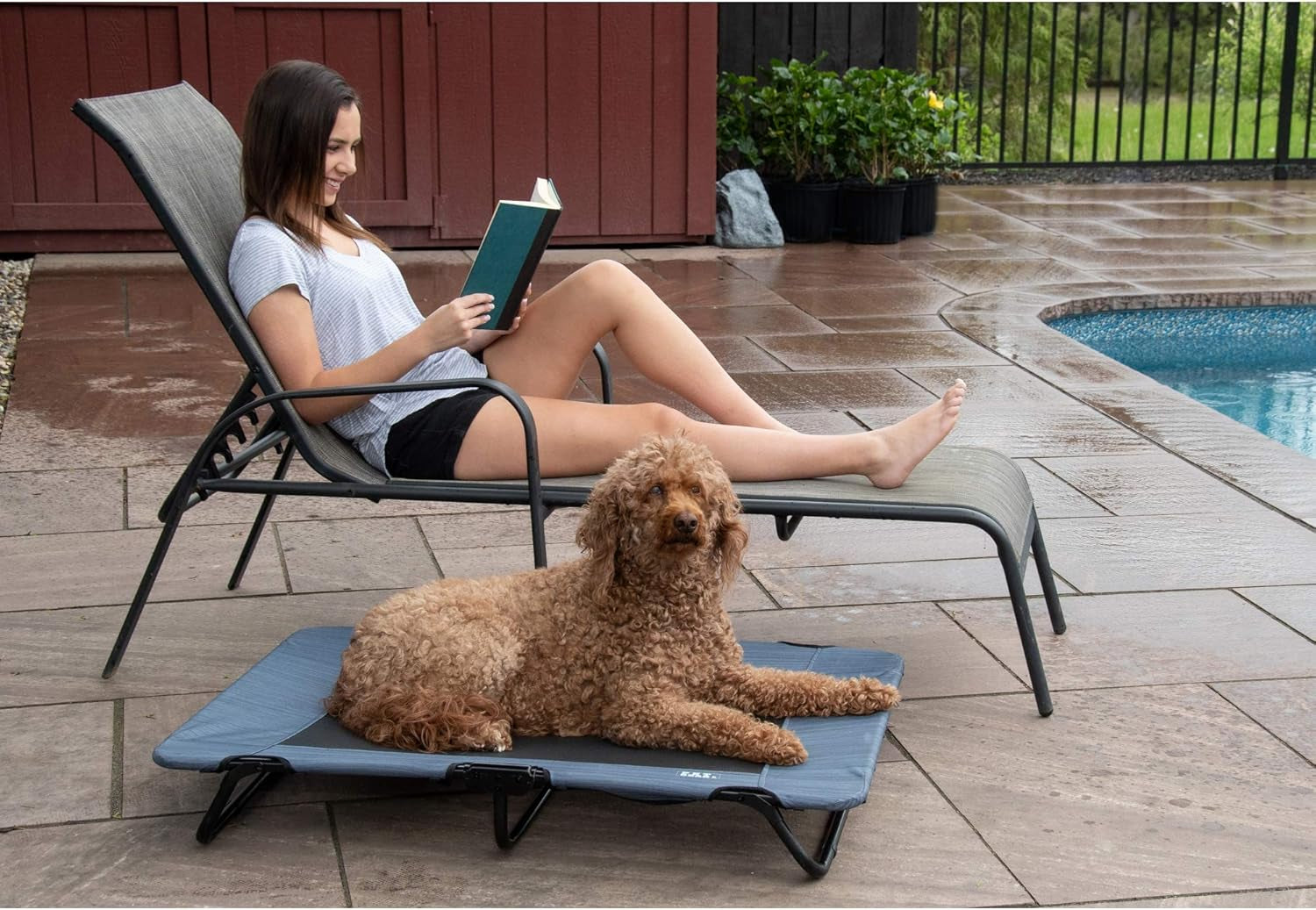 Lifestyle Pet Cot Elevated Bed | No Assembly Required | Premium Tear Resistant Cooling Mesh | Indoor & Outdoor | Lightweight & Portable, 40", Lake Blue (PG6240LBA)